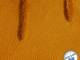 <h4>31 Bild 1 typischer Speckkäfergraben durch Langzeitkonservierung sichtbar am fertigen Leder</h4><p>27/12/2009 - Canon DIGITAL IXUS 200 IS, 1/60s, f/4.5, ISO 160</p><p>lederpedia-05182019-speckkaefergraben_1-142.jpg</p>